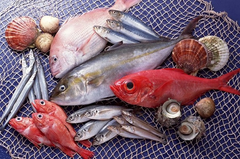 Bị vết thương hở có nên ăn cá không