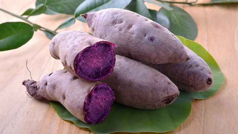 Xóa Sẹo Gò Vấp