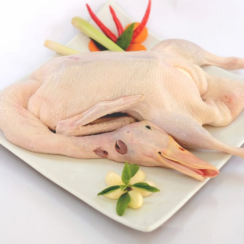 ăn thịt vịt có bị sẹo lồi không