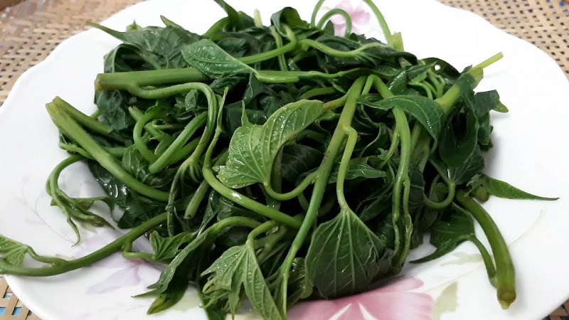 Ăn rau lang có bị sẹo lồi không